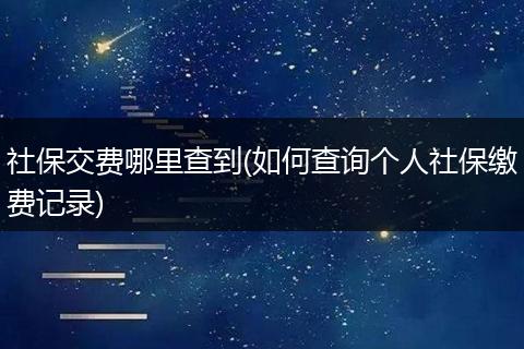 社保交费哪里查到(如何查询个人社保缴费记录)