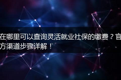 在哪里可以查询灵活就业社保的缴费？官方渠道步骤详解！