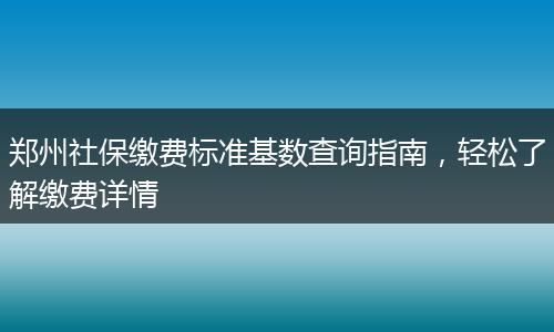 郑州社保缴费标准基数查询指南，轻松了解缴费详情