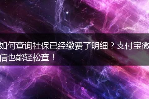 如何查询社保已经缴费了明细？支付宝微信也能轻松查！