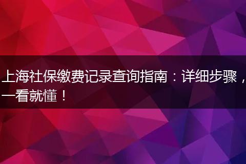 上海社保缴费记录查询指南：详细步骤，一看就懂！