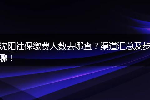 沈阳社保缴费人数去哪查？渠道汇总及步骤！