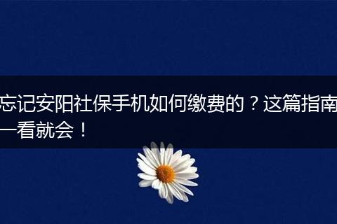 忘记安阳社保手机如何缴费的？这篇指南一看就会！