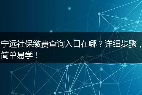 宁远社保缴费查询入口在哪？详细步骤，简单易学！