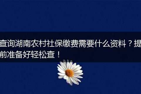 查询湖南农村社保缴费需要什么资料？提前准备好轻松查！