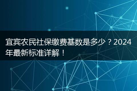 宜宾农民社保缴费基数是多少？2024年最新标准详解！