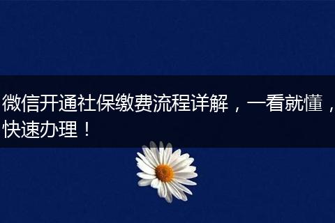 微信开通社保缴费流程详解，一看就懂，快速办理！