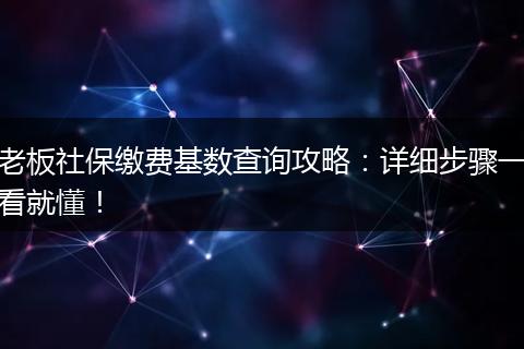 老板社保缴费基数查询攻略：详细步骤一看就懂！