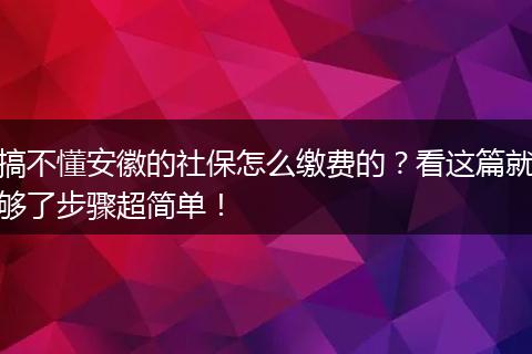 搞不懂安徽的社保怎么缴费的？看这篇就够了步骤超简单！