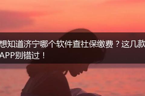 想知道济宁哪个软件查社保缴费？这几款APP别错过！