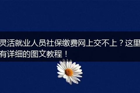 灵活就业人员社保缴费网上交不上？这里有详细的图文教程！