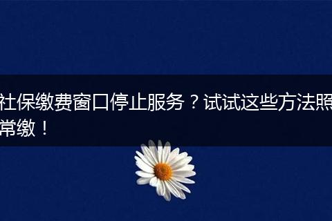 社保缴费窗口停止服务？试试这些方法照常缴！