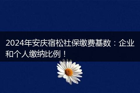 2024年安庆宿松社保缴费基数：企业和个人缴纳比例！