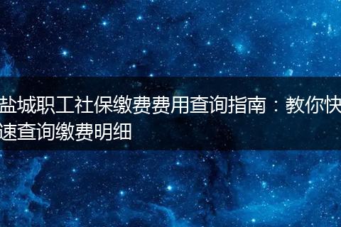 盐城职工社保缴费费用查询指南:教你快速查询缴费明细