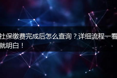 社保缴费完成后怎么查询？详细流程一看就明白！