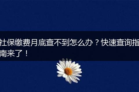 社保缴费月底查不到怎么办？快速查询指南来了！