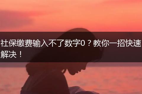 社保缴费输入不了数字0?教你一招快速解决!