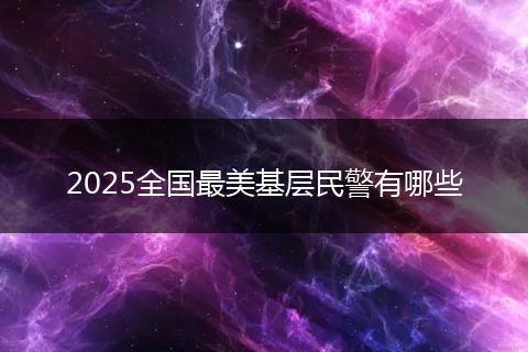 2025全国最美基层民警有哪些