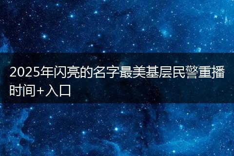 2025年闪亮的名字最美基层民警重播时间+入口