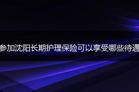 参加沈阳长期护理保险可以享受哪些待遇