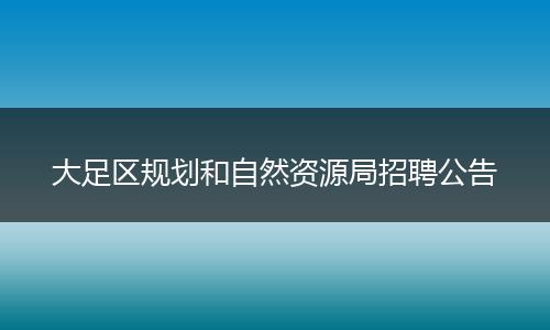 大足区规划和自然资源局招聘公告
