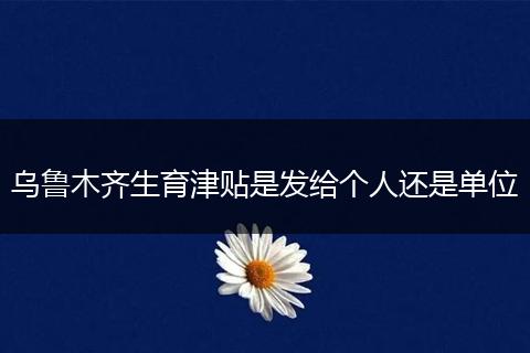 乌鲁木齐生育津贴是发给个人还是单位