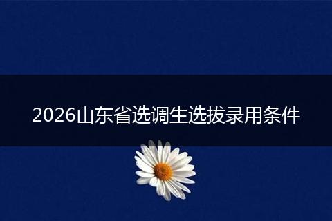 2026山东省选调生选拔录用条件