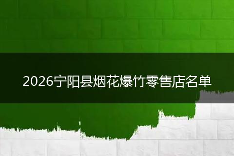 2026宁阳县烟花爆竹零售店名单