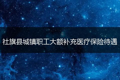 社旗县城镇职工大额补充医疗保险待遇