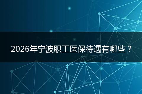 2026年宁波职工医保待遇有哪些？