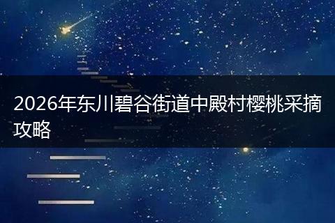 2026年东川碧谷街道中殿村樱桃采摘攻略