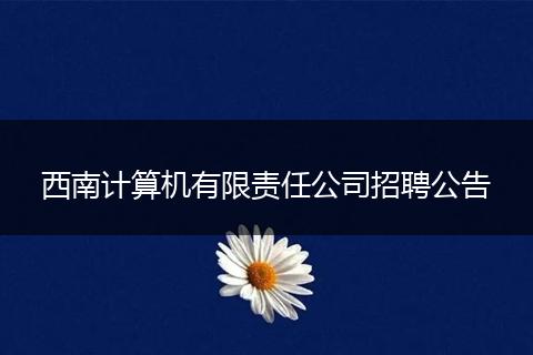 西南计算机有限责任公司招聘公告