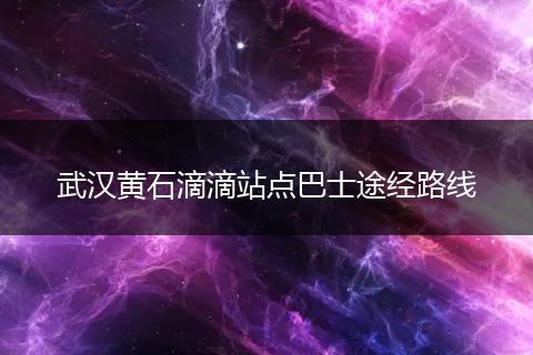 武汉黄石滴滴站点巴士途经路线