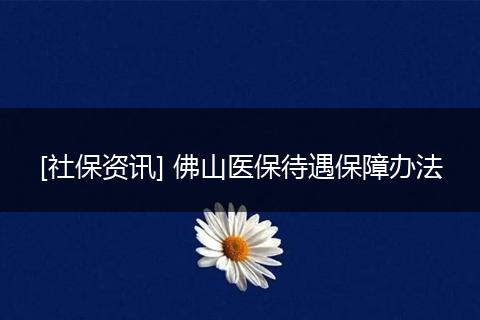 [社保资讯] 佛山医保待遇保障办法