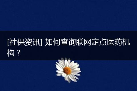 [社保资讯] 如何查询联网定点医药机构？