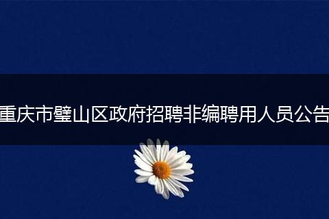 重庆市璧山区政府招聘非编聘用人员公告