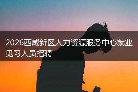 2026西咸新区人力资源服务中心就业见习人员招聘