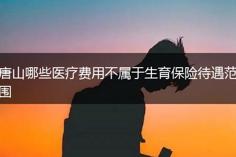 唐山哪些医疗费用不属于生育保险待遇范围