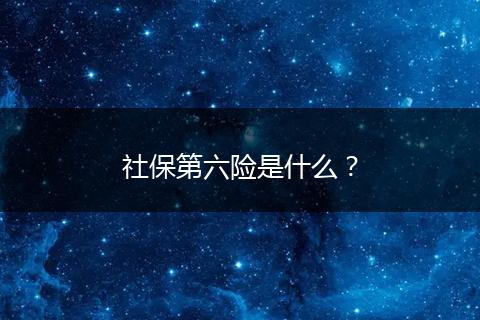 社保第六险是什么?